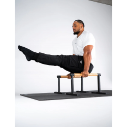 Parallettes Premium Max